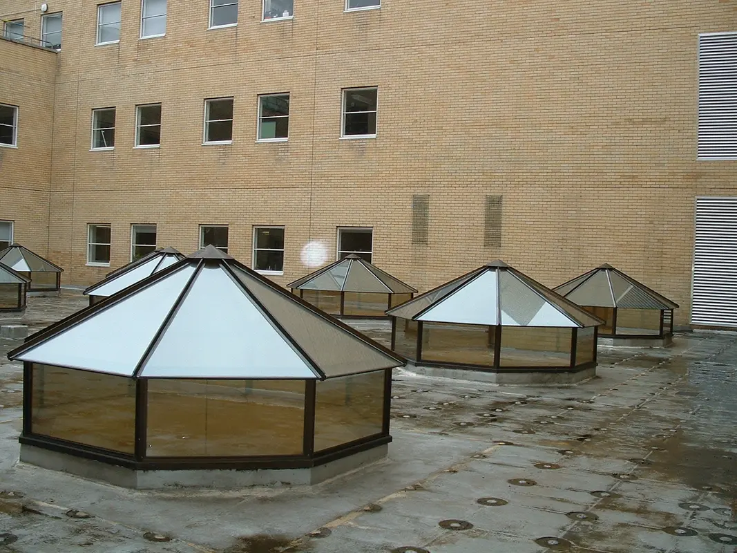 Flat Roof Skylights Paddington
